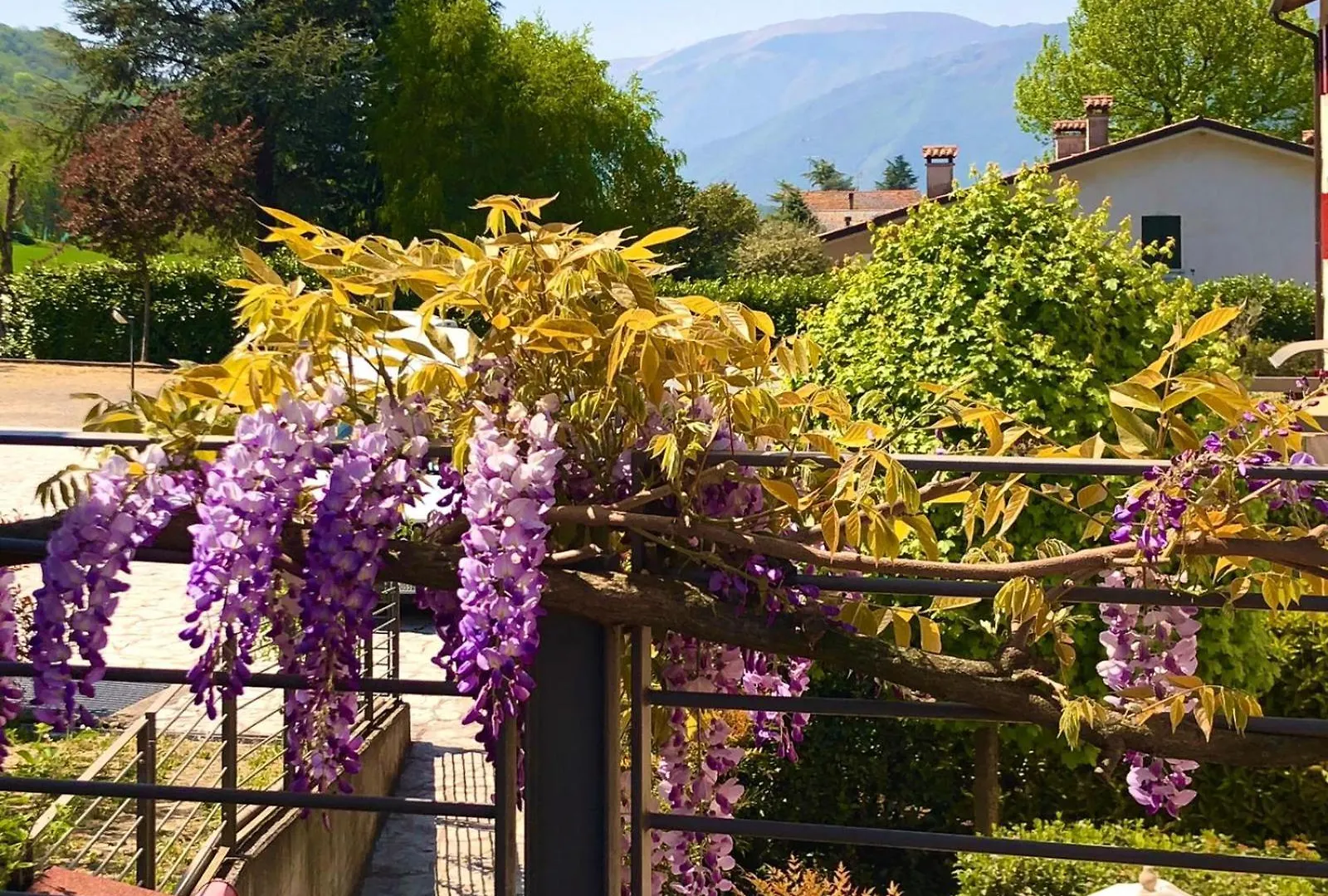 La Casa Del Glicine Tarzo Apartamento Fratta  Itália