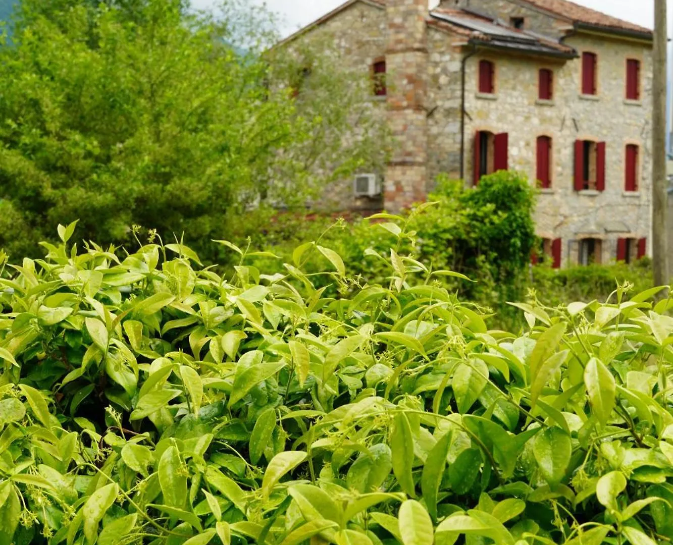 La Casa Del Glicine Tarzo Apartment Fratta  Homestay Fratta (Treviso)