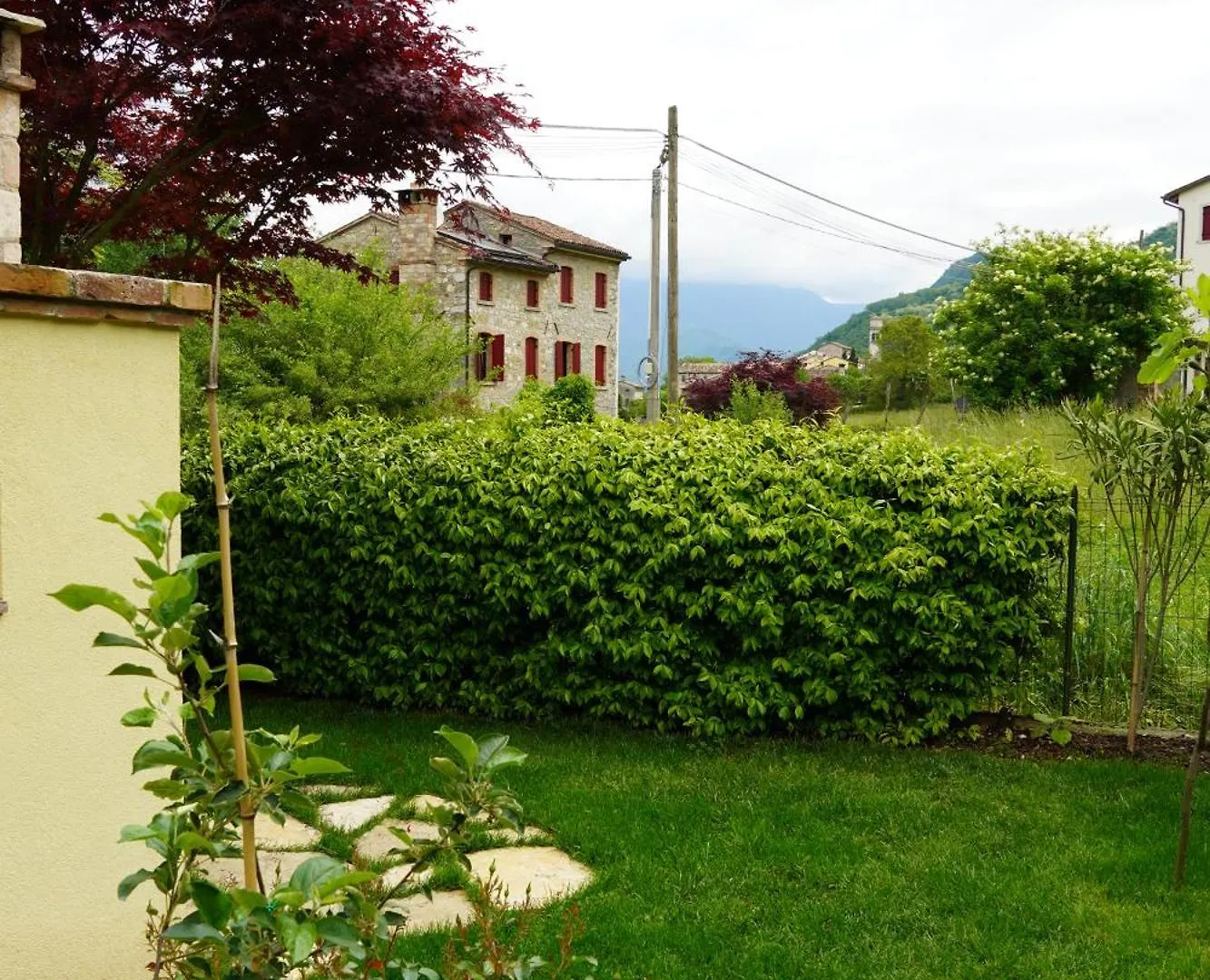 La Casa Del Glicine Tarzo Lägenhet Fratta